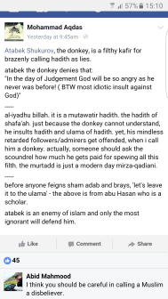 Sheikh Called Donkey By Brelwis